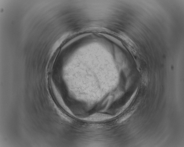 X0000087341430200705181050