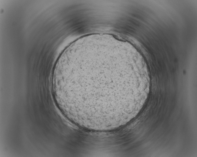 X0000087341432200705181050