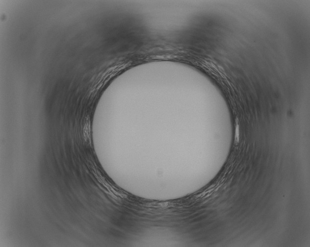 X0000087341444200705181049