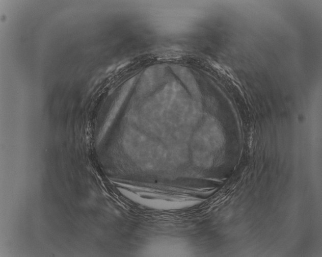 X0000087341445200705181049