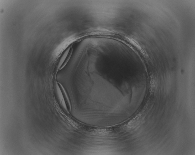 X0000087341455200705181049
