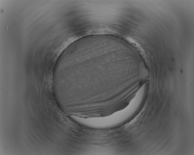 X0000087341457200705181049