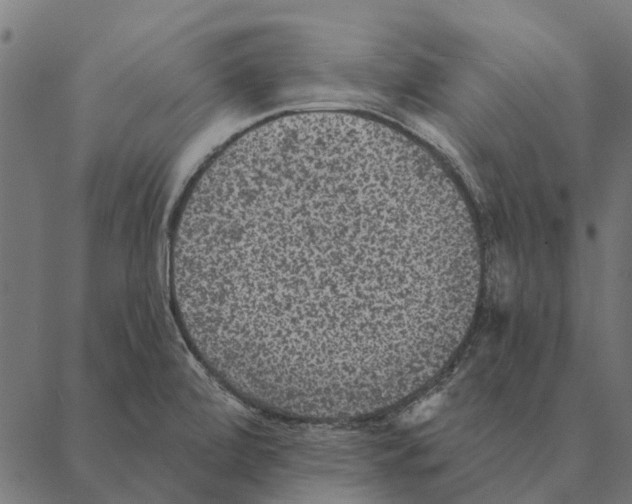X0000087341472200705181049
