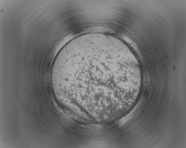 X0000087341473200705181049
