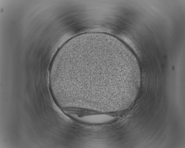 X0000087341476200705181049