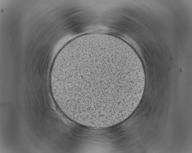 X0000087341488200705181049