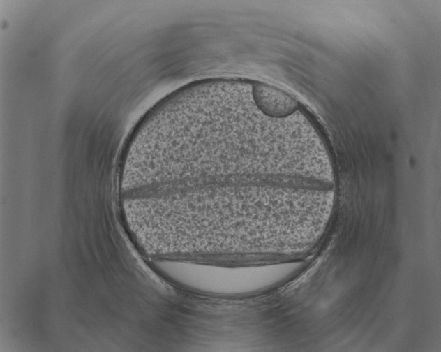 X0000087341517200705181048