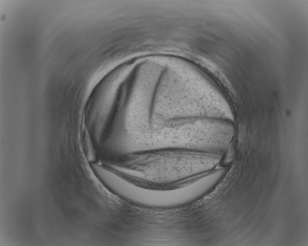 X0000087341520200705181048