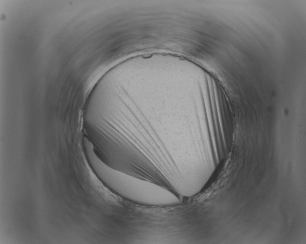 X0000087341524200705181048