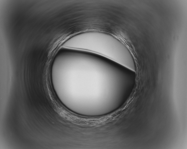 X0000087350001200704200814