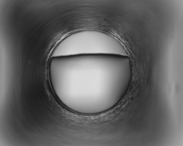 X0000087350002200704200814