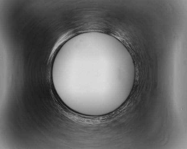 X0000087350004200704200814