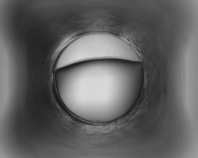 X0000087350005200704200814
