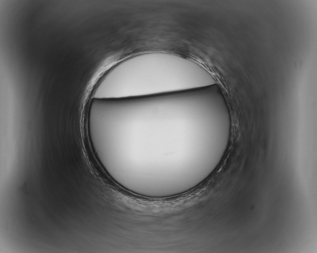X0000087350006200704200814