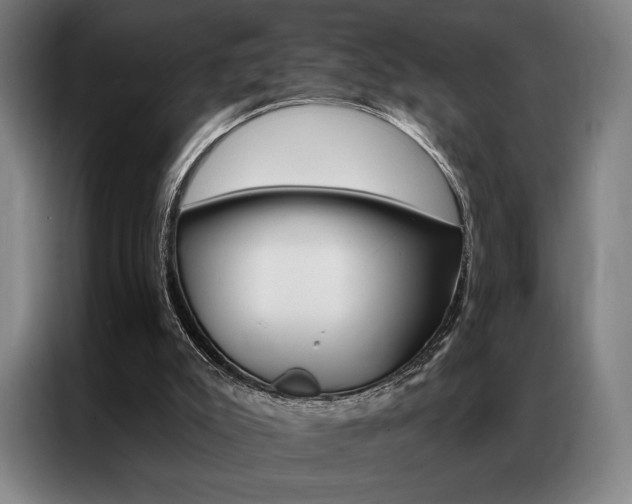 X0000087350007200704200814