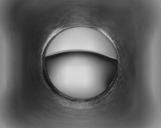X0000087350008200704200814