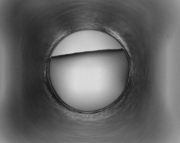 X0000087350010200704200814