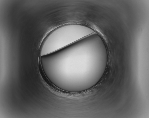 X0000087350011200704200814