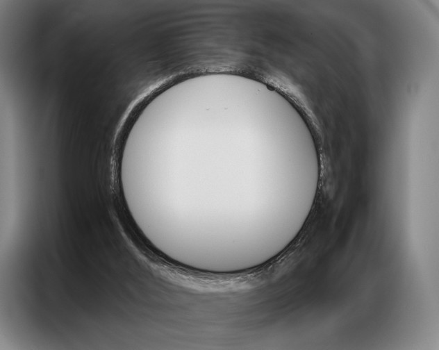 X0000087350012200704200814
