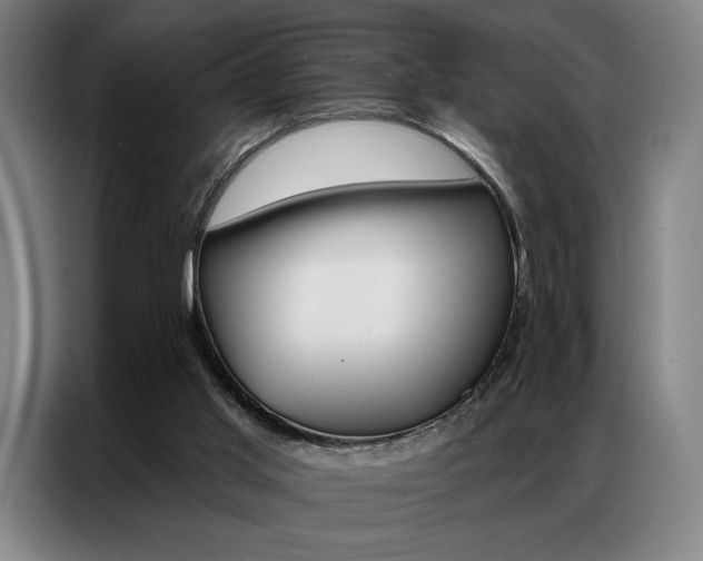 X0000087350013200704200814