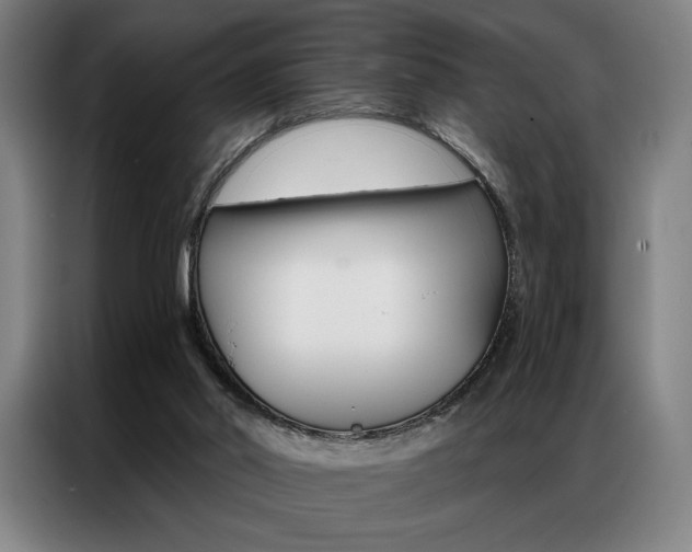 X0000087350014200704200814