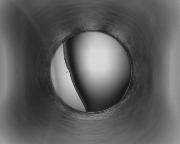 X0000087350017200704200814