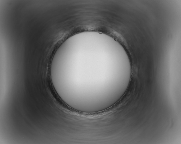 X0000087350018200704200814
