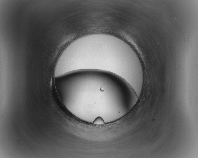 X0000087350019200704200814