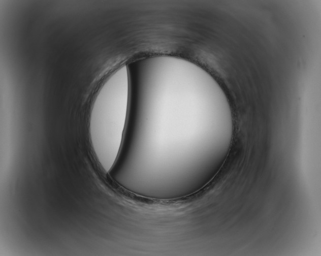X0000087350020200704200814