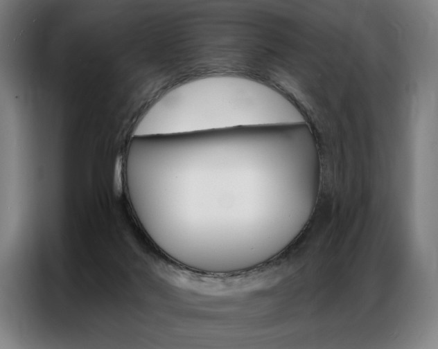 X0000087350022200704200814