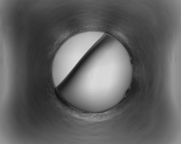 X0000087350023200704200814