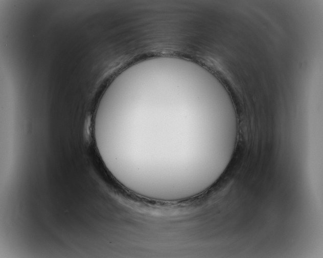 X0000087350024200704200814