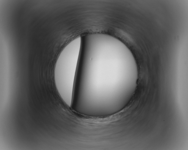 X0000087350025200704200814