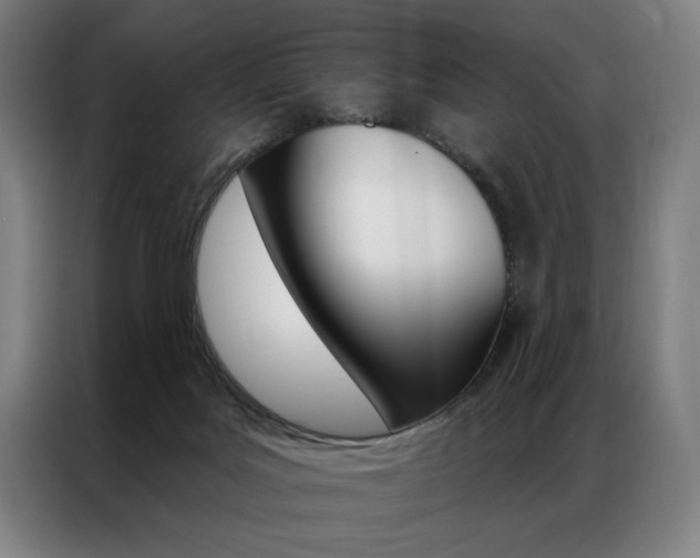 X0000087350027200704200814
