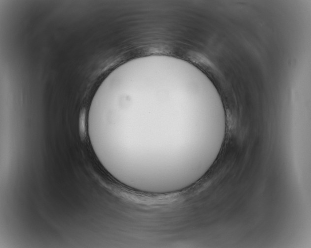 X0000087350028200704200814