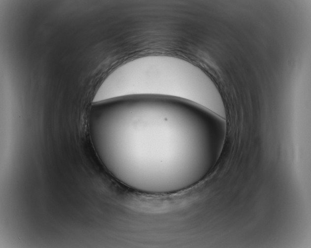 X0000087350029200704200814