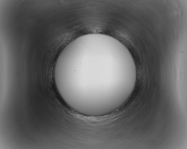X0000087350030200704200814