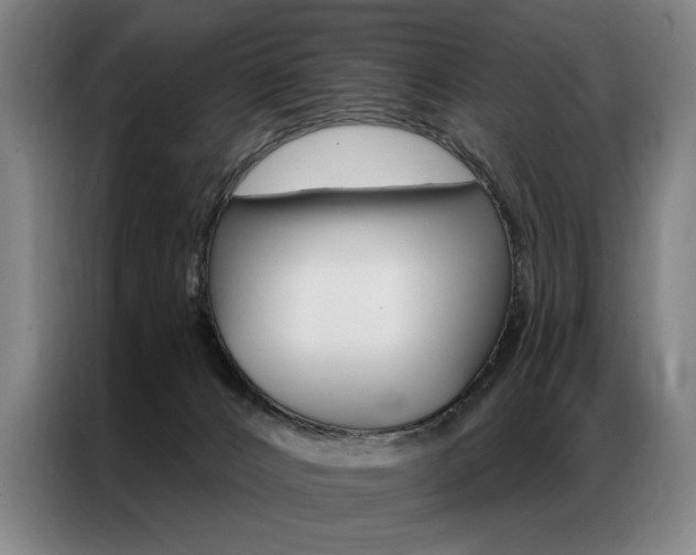 X0000087350032200704200814