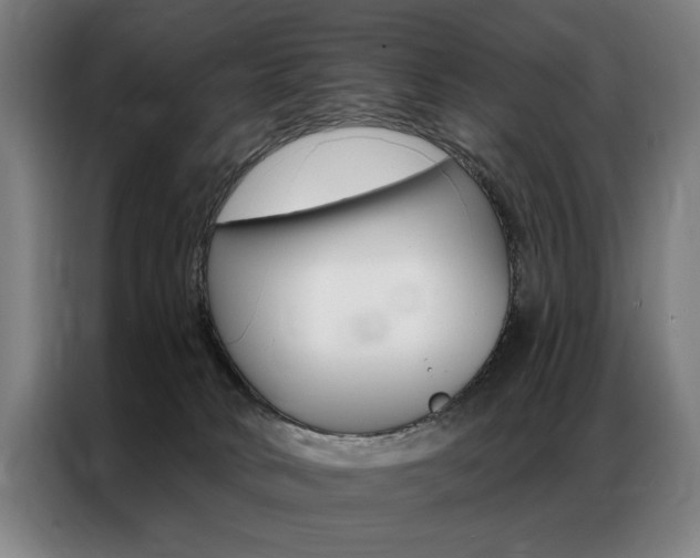 X0000087350034200704200814
