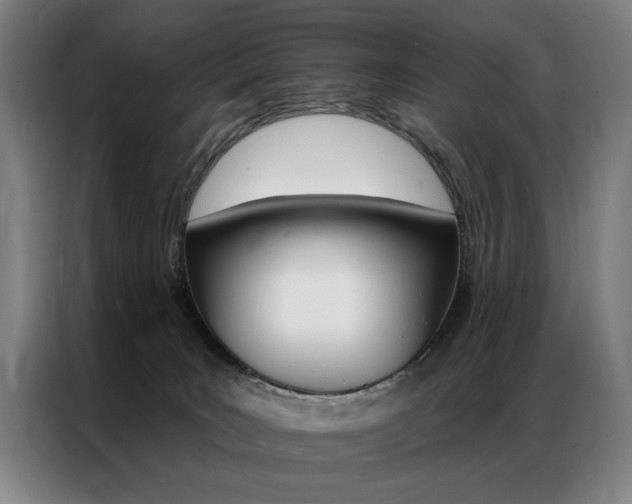X0000087350035200704200814