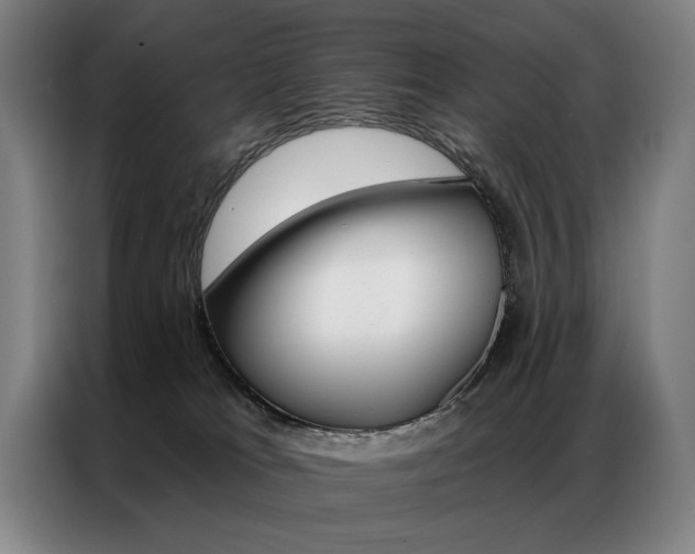 X0000087350037200704200814