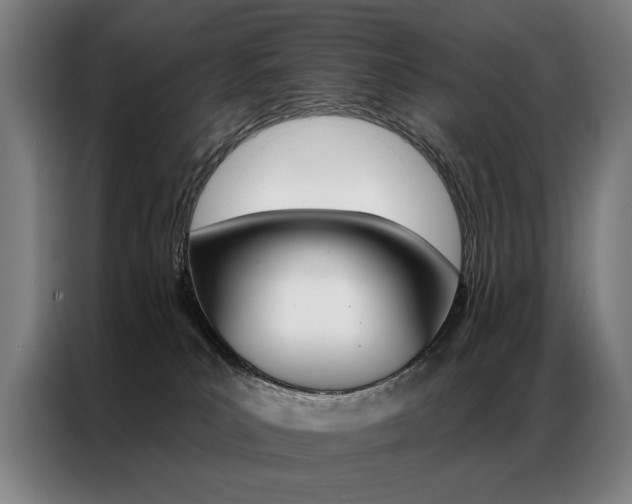 X0000087350039200704200814