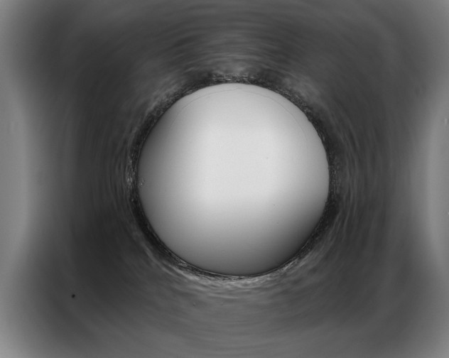 X0000087350040200704200814