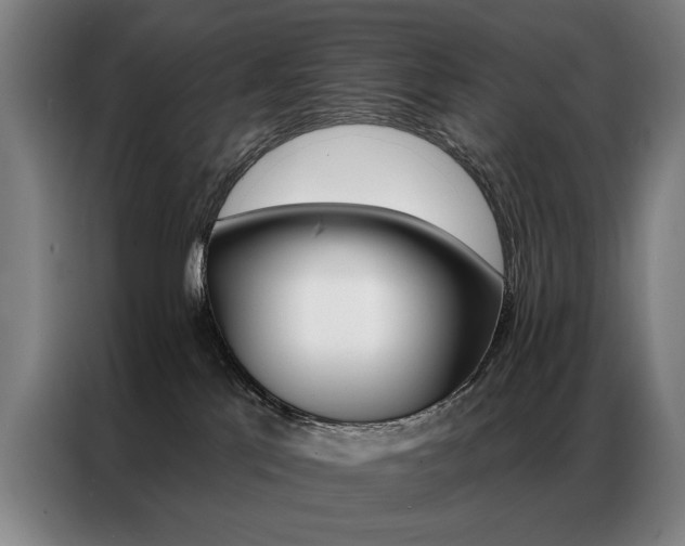 X0000087350041200704200814