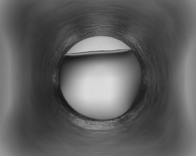 X0000087350044200704200814