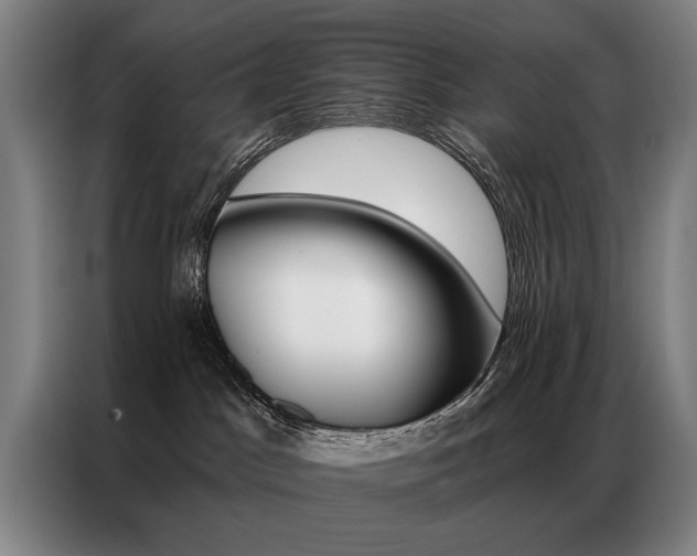 X0000087350045200704200814
