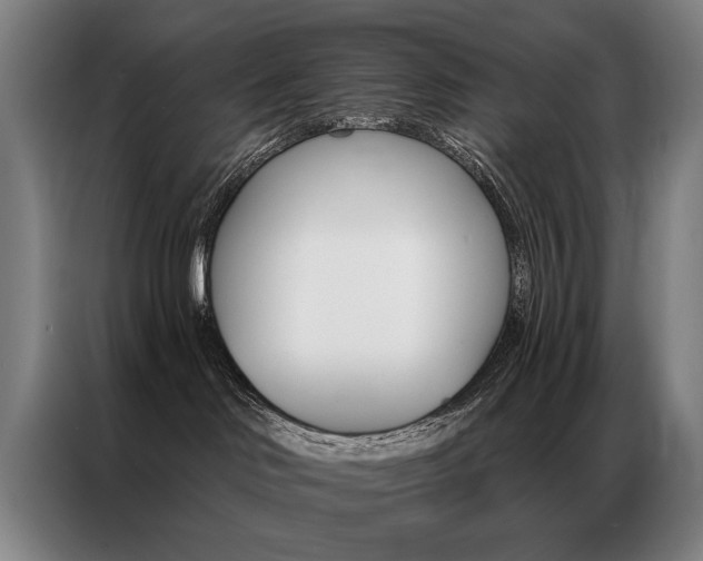 X0000087350046200704200814