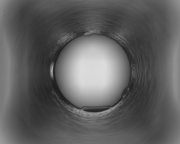 X0000087350047200704200814