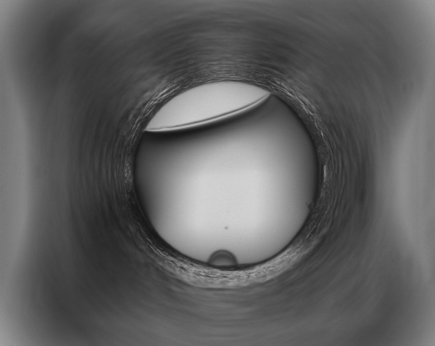 X0000087350048200704200814