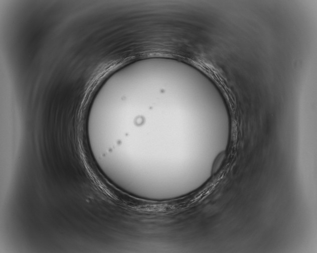 X0000087350049200704200813